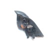 Recambio de retrovisor izquierdo para citroën xsara picasso 1.6 16v hdi referencia OEM IAM 96570954XT  