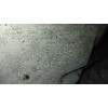 Recambio de caja cambios para renault megane ii berlina 5p emotion referencia OEM IAM JR5102  