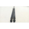 Recambio de amortiguadores maletero / porton para toyota c-hr referencia OEM IAM 68950F4061  