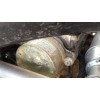 Recambio de motor completo para peugeot 406 (8b) 2.2 hdi referencia OEM IAM 0139PX 4HX PSA 4HX 4047494