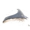 Recambio de aleta delantera izquierda para ford focus berlina (cap) ghia referencia OEM IAM 1376484  