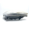 Recambio de faro derecho para renault scenic ii 1.9 dci diesel referencia OEM IAM 260102336R  
