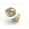 Recambio de aforador para audi a5 sportback (8ta) 2.0 tdi referencia OEM IAM 8K0919050L  