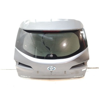 PORTON TRASERO 6700502791 