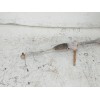 Recambio de cremallera direccion para toyota c-hr referencia OEM IAM 45510F4010  