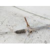 Recambio de cremallera direccion para toyota c-hr referencia OEM IAM 45510F4010  