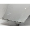 Recambio de aleta delantera izquierda para renault scenic iii referencia OEM IAM 631017581R  