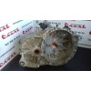 Recambio de caja cambios para ford focus berlina (cap) sport referencia OEM IAM 6M5R7002DB  