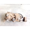 Recambio de diferencial trasero para volvo xc90 2.5 20v turbo cat referencia OEM IAM P1216619  