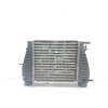 Recambio de intercooler para renault clio iii 1.5 dci diesel referencia OEM IAM 144618748R  