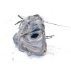 Recambio de deposito combustible para lexus is 2.5 16v cat (híbrido) referencia OEM IAM 7700130630  