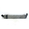 Recambio de intercooler para renault laguna iii dynamique referencia OEM IAM 144960001R  