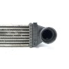 Recambio de intercooler para mercedes-benz clase a (w169) 2.0 cdi cat referencia OEM IAM A1695000000  