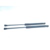 Recambio de amortiguadores maletero / porton para renault kadjar bose edition referencia OEM IAM 904514584R  