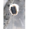 Recambio de paragolpes trasero para toyota c-hr referencia OEM IAM 52159F4901  