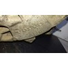 Recambio de caja cambios para volvo v70 familiar 2.5 turbodiesel referencia OEM IAM P1208992  