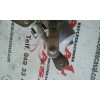 Recambio de motor limpia trasero para peugeot 407 st confort referencia OEM IAM 9656859980  