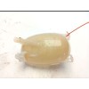 Recambio de deposito expansion para renault clio v (b7_) 1.0 tce 100 (b7mt) referencia OEM IAM 217108864R  